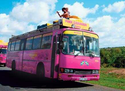 Proyecto Los Buses Rosas