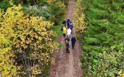 Vandring runt Veda i Näsviken med drönare