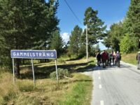 Tisdagstraskarna till Gammelsträng, Norrbo