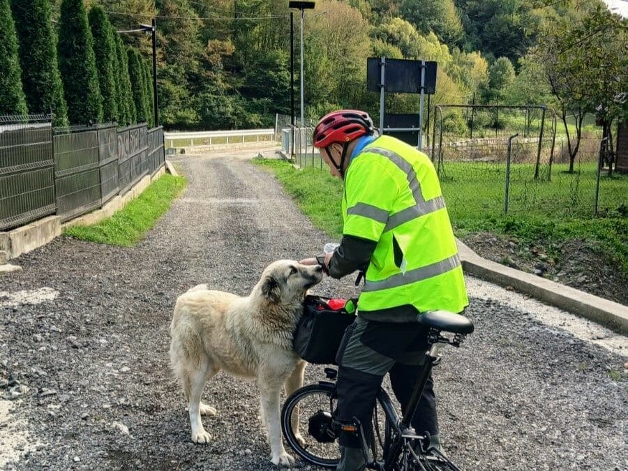Hunden Som Fick En Kotlett