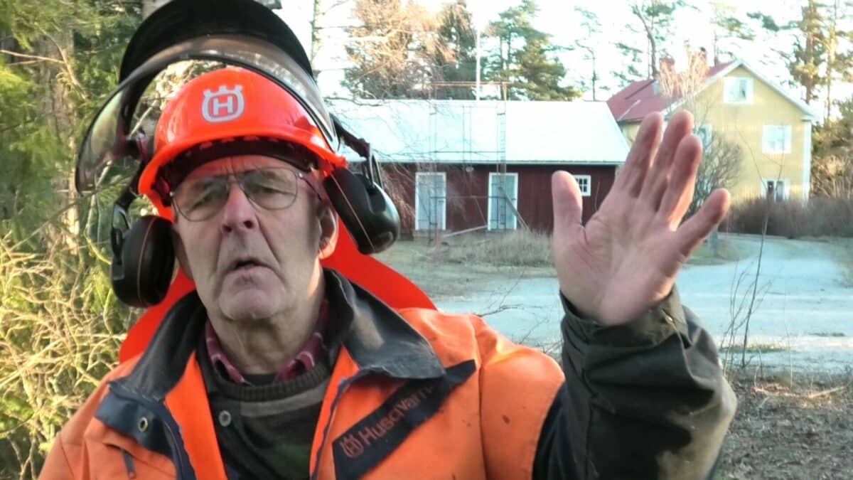 I Näsviken har stormen Johannes skördat många träd