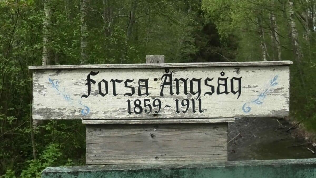 Forsa ångsåg Hamre strömmar