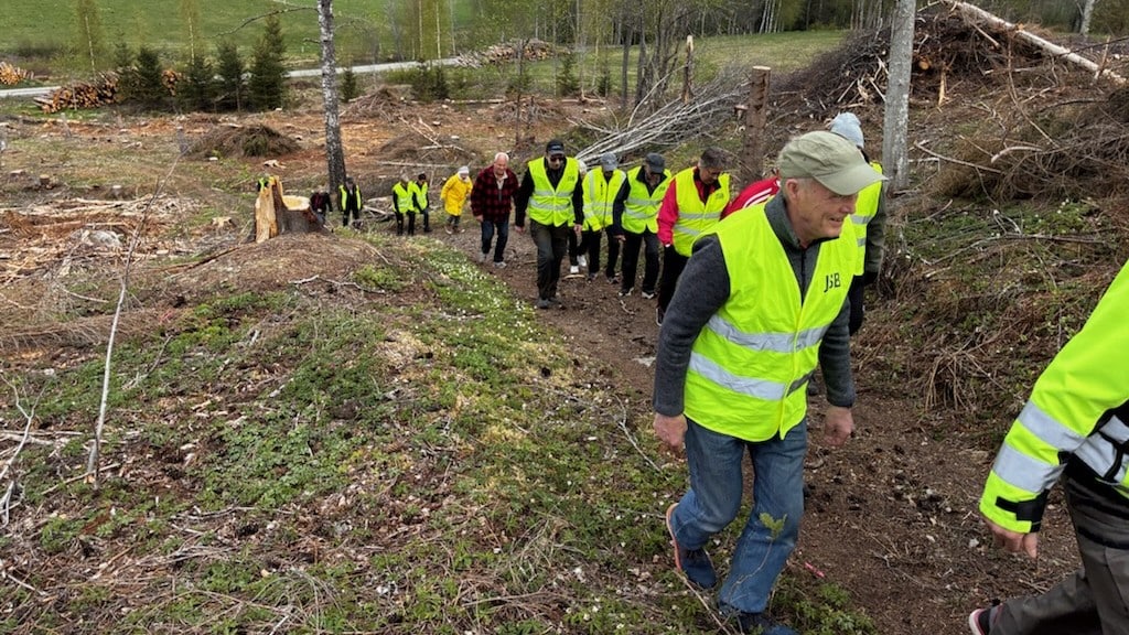 tisdagstraskarna till hillstakullen