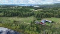 Näsvikens småsjöar nr 1 – Tävlingsresultat