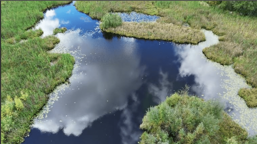 Näsvikens småsjö 3