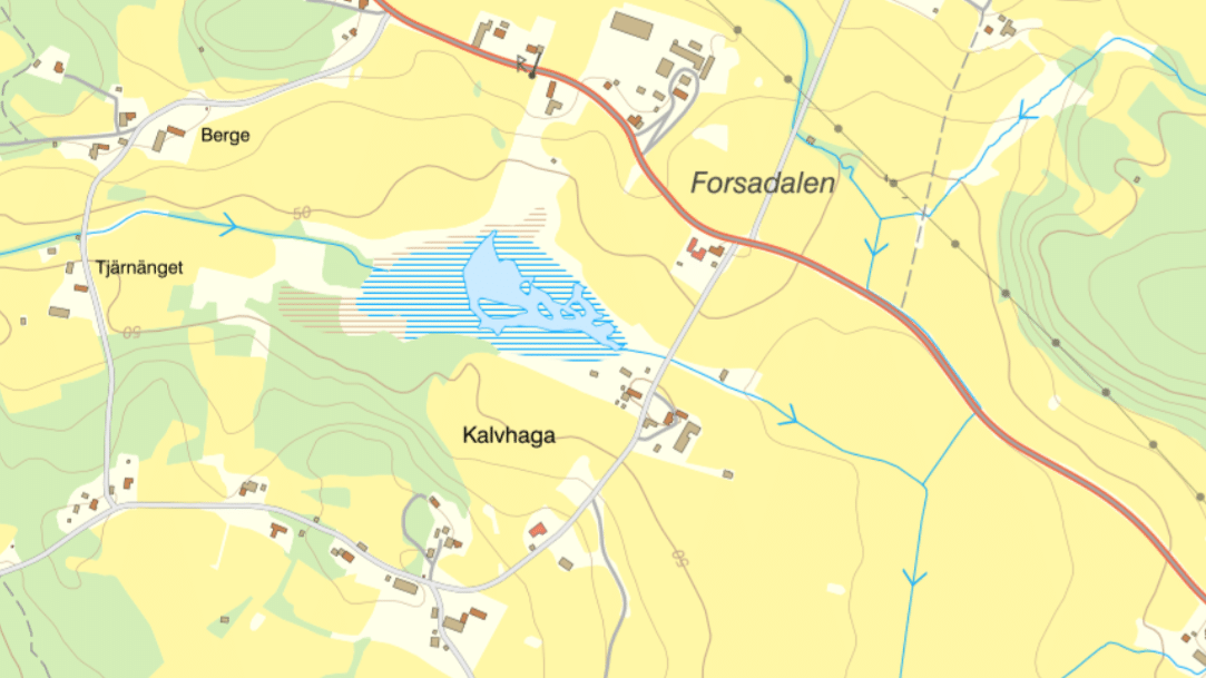 Skoltjärn